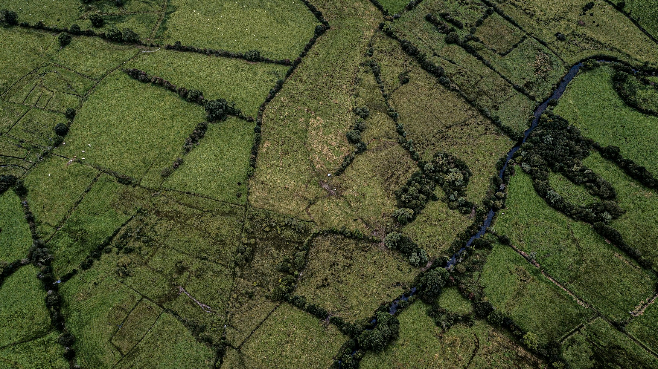 Aerial view of green fields divided by tree lines and a watercourse